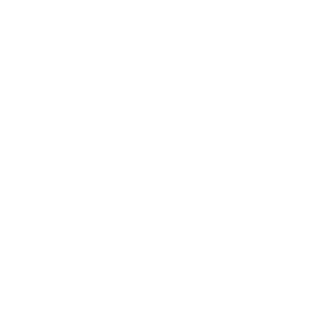 White chat bubble icon